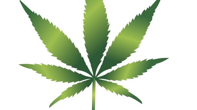 The High Life: Exploring the World of Marijuana