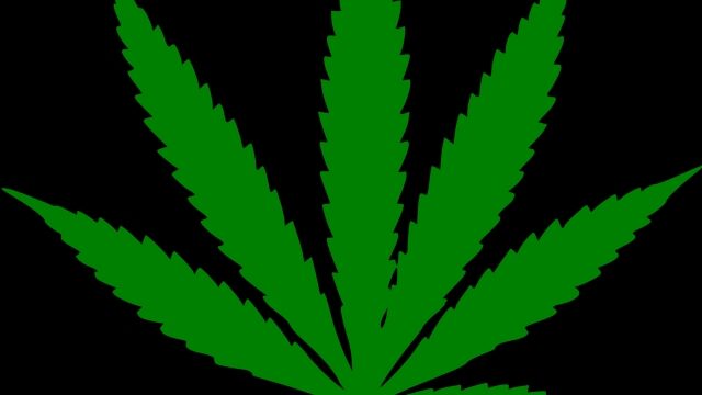 The Highs and Lows of Marijuana: Exploring Its Benefits and Risks