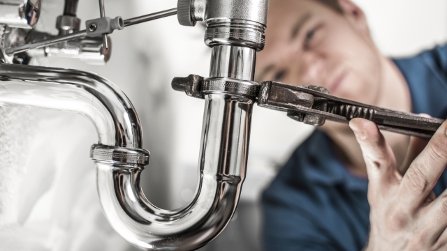 Dive into the World of Pipes and Plungers: Unleashing the Secrets of Plumbing!