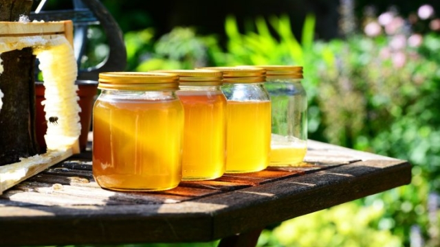 The Sweet and Dangerous Allure of Mad Honey: Exploring the Buzz