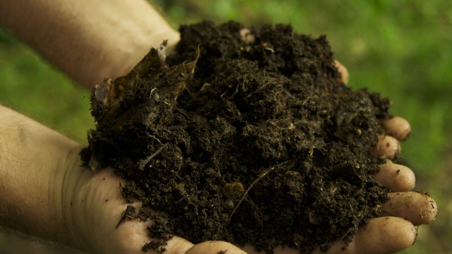 Nurturing Nature: Unleashing the Power of Organic Fertilizers