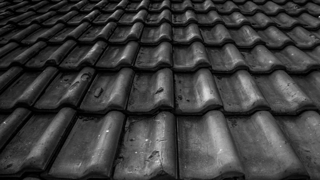 From Shingles to Skylights: Unveiling the Secrets of Roofing