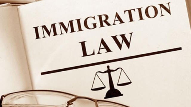Navigating the Legal Landscape: A Guide to Immigration Law