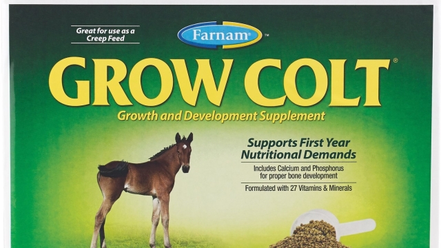 The Power of Equine Elixir: Enhancing Horse Health with Supplements