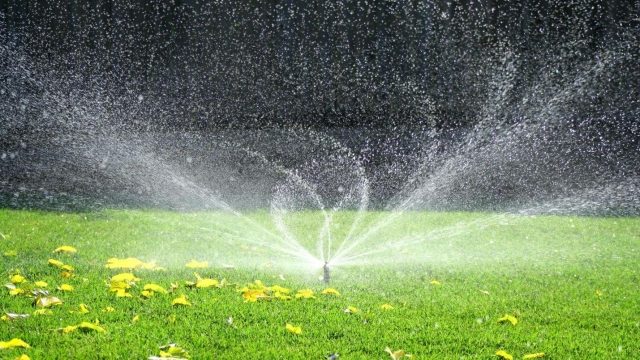 Sprinkler Care 101: Essential Tips for Effective Maintenance