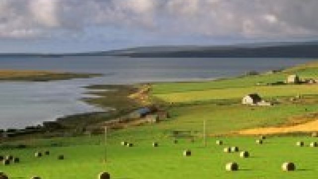 The Tranquil Harmony: Exploring the Enchanting World of Coastal Farming