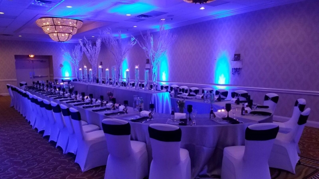 Elevate Your Celebration: The Ultimate Guide to Party and Event Rentals