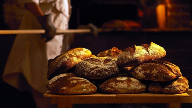 Whisked Away: A Journey Through Sweet Pastry Experiments and Baking Bliss