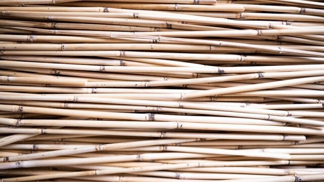 Types of Eco Friendly Packaging Materials where environmental