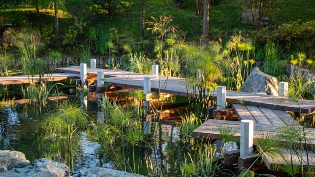 Understanding Personalized Wellness Plans