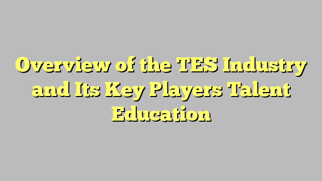 Overview of the TES Industry and Its Key Players Talent Education